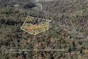 Lot 38 Skyview At Wildlife Acres, Hayesville, NC 28904 - Photo 1