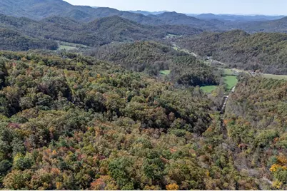 Lot 38 Skyview At Wildlife Acres, Hayesville, NC 28904 - Photo 18