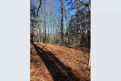 Lot 61 Thundering Hill, Murphy, NC 28906 - Photo 2