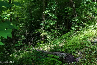 Lot J1 Georgianna Lane, Bryson City, NC 28713 - Photo 20