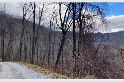 Lot Off Buck Naked Road, Bryson City, NC 28713 - Photo 24