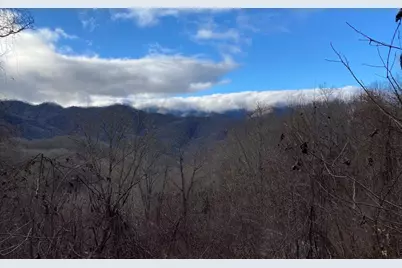 Lot Off Buck Naked Road, Bryson City, NC 28713 - Photo 26