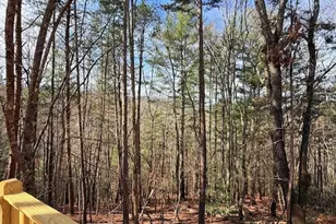99 Noelles Pass, Murphy, NC 28906 - Photo 18