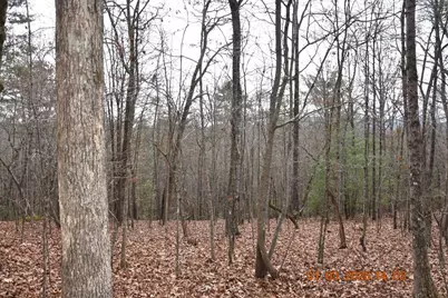 167 Swaims, Hayesville, NC 28904 - Photo 54