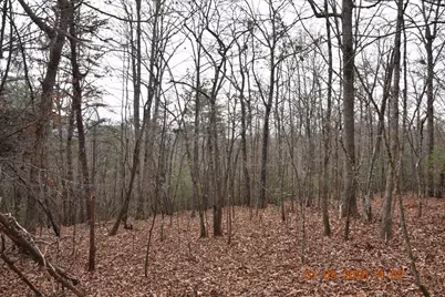167 Swaims, Hayesville, NC 28904 - Photo 50