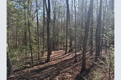 1156 Liberty Road, Murphy, NC 28906 - Photo 4