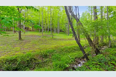 118 Ringtail Run, Murphy, NC 28906 - Photo 60