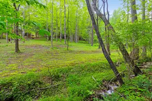 118 Ringtail Run, Murphy, NC 28906 - Photo 60