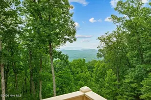 1706 Deer Valley Dr, Warne, NC 28909 - Photo 8