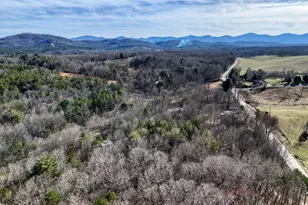 1852 Hwy 325, Blairsville, GA 30512 - Photo 52