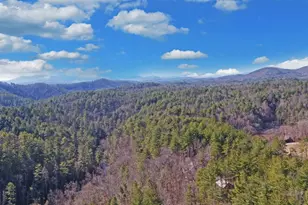 483 Vineyard Creek Way, Murphy, NC 28906 - Photo 58