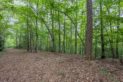 Lot 26 Persimmon Road, Murphy, NC 28906 - Photo 4