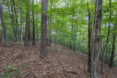 Lot 26 Persimmon Road, Murphy, NC 28906 - Photo 6