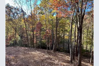 1 Bartin Ridge, Murphy, NC 28906 - Photo 10