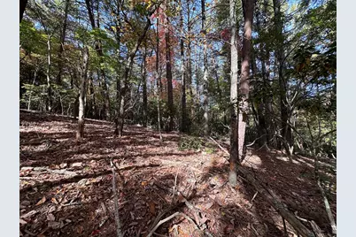 Lot 5&8 Indian Rock Springs Subdivision, Murphy, NC 28906 - Photo 24