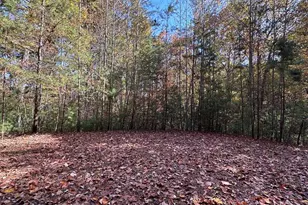 Lot 5&8 Indian Rock Springs Subdivision, Murphy, NC 28906 - Photo 1