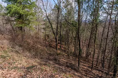 19/20 Summer Cove Road, Blairsville, GA 30512 - Photo 8