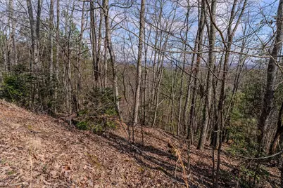 19/20 Summer Cove Road, Blairsville, GA 30512 - Photo 4