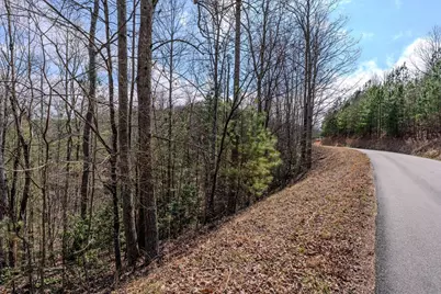 19/20 Summer Cove Road, Blairsville, GA 30512 - Photo 6