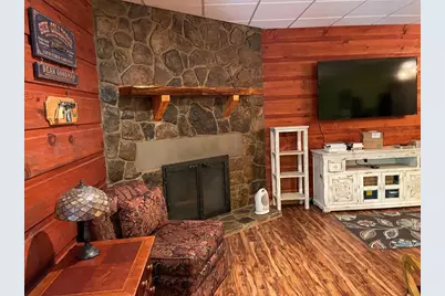 381 Ross Drive, Mineral Bluff, GA 30559 - Photo 50