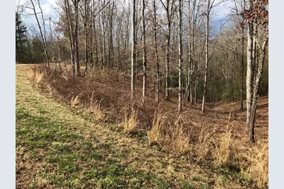 Lot #94 River Mountain Road, Murphy, NC 28906 - Photo 10