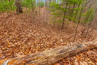 3.45 Ac Guy Eller Road, Murphy, NC 28906 - Photo 8
