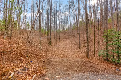 3.45 Ac Guy Eller Road, Murphy, NC 28906 - Photo 6