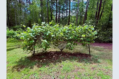 72 Victory Lane, Murphy, NC 28906 - Photo 20