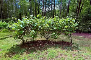 72 Victory Ln, Murphy, NC 28906 - Photo 20