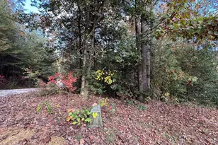 72 Victory Ln, Murphy, NC 28906 - Photo 56