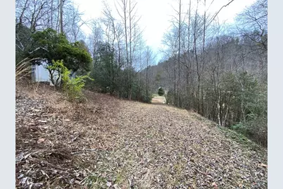 1600 Long Branch Road, Marble, NC 28905 - Photo 38