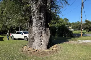 110 Fisher St, Andrews, NC 28901 - Photo 22