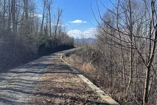 Lot #53M Ridges, Hayesville, NC 28904 - Photo 1