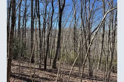 Lot #53M Ridges, Hayesville, NC 28904 - Photo 2