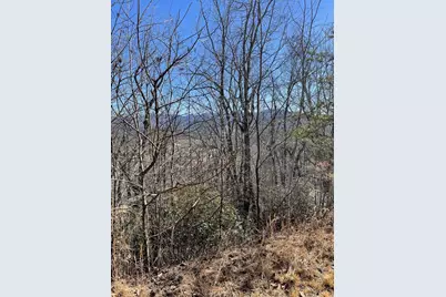 60 & 61J Mountain Harbour, Hayesville, NC 28904 - Photo 2