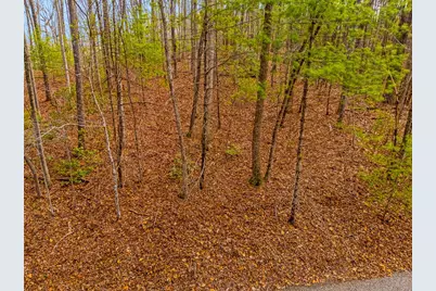 1.03 Ac Guy Eller Road, Murphy, NC 28906 - Photo 18