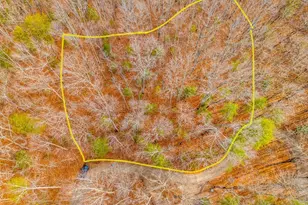 1 03 Ac Guy Eller Rd, Murphy, NC 28906 - Photo 1