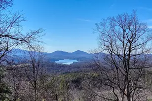 417 Hidden Forest Ln, Hayesville, NC 28904 - Photo 2