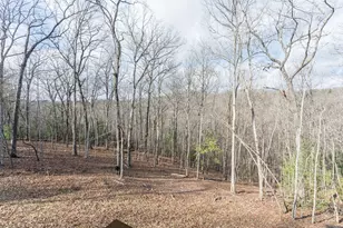 318 Tracks Holw, Murphy, NC 28906 - Photo 40
