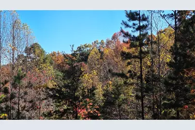 62 Green Cove Spur, Murphy, NC 28906 - Photo 42
