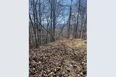 Lot  47J Grandview Drive, Hayesville, NC 28904 - Photo 4