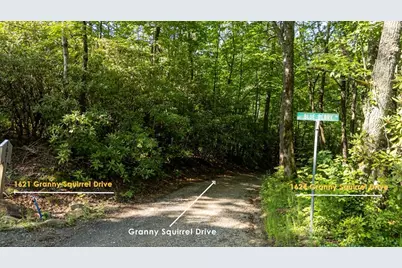 1621 Granny Squirrel Drive, Andrews, NC 28901 - Photo 6