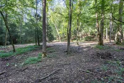 23.59 Ac Chestnut Flats Road, Andrews, NC 28901 - Photo 18