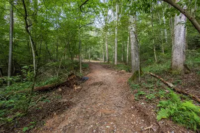 23.59 Ac Chestnut Flats Road, Andrews, NC 28901 - Photo 12