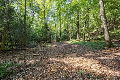 23.59 Ac Chestnut Flats Road, Andrews, NC 28901 - Photo 26