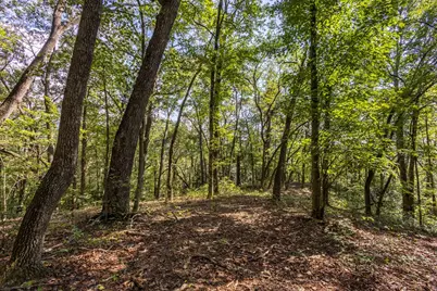 23.59 Ac Chestnut Flats Road, Andrews, NC 28901 - Photo 34