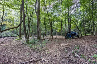 23.59 Ac Chestnut Flats Road, Andrews, NC 28901 - Photo 20