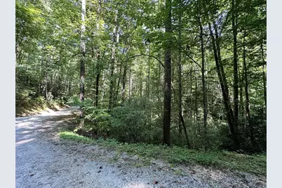 00 Briggs Cove Road, Robbinsville, NC 28771 - Photo 4