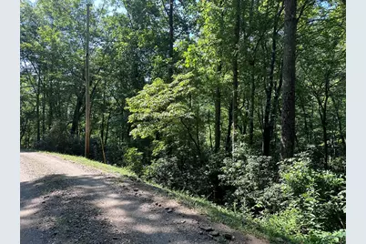 00 Briggs Cove Road, Robbinsville, NC 28771 - Photo 6