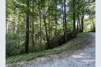 00 Briggs Cove Road, Robbinsville, NC 28771 - Photo 2